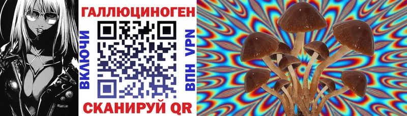 shop официальный сайт  Серафимович  Псилоцибиновые грибы Psilocybe  купить наркоту  МЕГА ССЫЛКА 